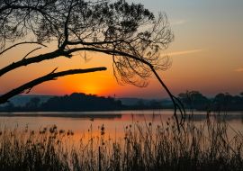 Lais Puzzle - Sonnenaufgang über dem Rietvlei-Damm außerhalb von Pretoria, Südafrika - 1.000 Teile