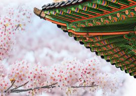 Lais Puzzle - Gyeongbokgung-Palast mit Kirschblüten im Frühling, Korea - 1.000 Teile