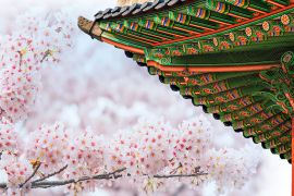 Lais Puzzle - Gyeongbokgung-Palast mit Kirschblüten im Frühling, Korea - 2.000 Teile