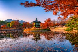 Lais Puzzle - Pagode am Gyeongbokgung-Palast im Herbst, Seoul, Südkorea - 2.000 Teile