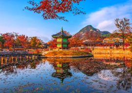 Lais Puzzle - Herbst am Gyeongbokgung-Palast in Seoul, Südkorea - 1.000 Teile