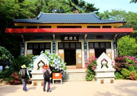 Lais Puzzle - Hortensien-Suguk-Festival im buddhistischen Tempel Taejongsa, Taejongdae, Busan, Südkorea, Asien - 1.000 Teile