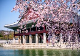 Lais Puzzle - Gyeongbokgung Palast im Frühling in Seoul, Südkorea - 1.000 Teile