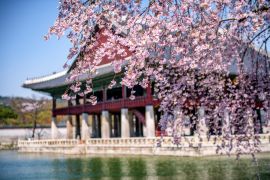 Lais Puzzle - Gyeongbokgung Palast im Frühling in Seoul, Südkorea - 2.000 Teile