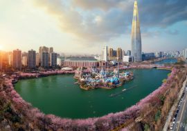 Lais Puzzle - Frühlingszeit in Seoul mit Kirschblüte in voller Blüte im Park - 1.000 Teile
