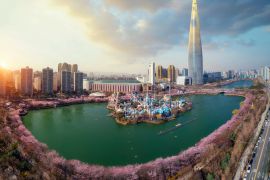 Lais Puzzle - Frühlingszeit in Seoul mit Kirschblüte in voller Blüte im Park - 2.000 Teile