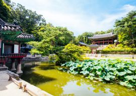 Lais Puzzle - Changdeokgung Palace Secret Garden in Südkorea - 1.000 Teile