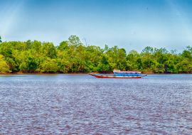 Lais Puzzle - Surinam-Boot - 1.000 Teile