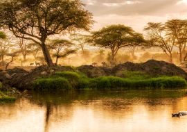 Lais Puzzle - Sonnenuntergang über dem Fluss in der Serengeti, Tansania - 1.000 Teile