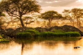 Lais Puzzle - Sonnenuntergang über dem Fluss in der Serengeti, Tansania - 2.000 Teile