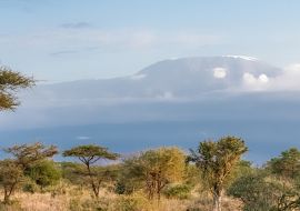 Lais Puzzle - Blick auf den Kilimandjaro in Tansania, mit der Savanne, schönes Panorama - 1.000 Teile