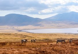 Lais Puzzle - Pirschfahrt mit Safari-Auto im Serengeti-Nationalpark in schöner Landschaftskulisse, Tansania, Afrika - 1.000 Teile