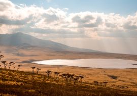 Lais Puzzle - Pirschfahrt mit Safari-Auto im Serengeti-Nationalpark in schöner Landschaftskulisse, Tansania, Afrika - 1.000 Teile