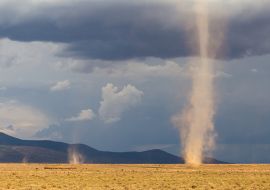 Lais Puzzle - Kleine Tornados in den Ebenen von Nordtansania - 1.000 Teile