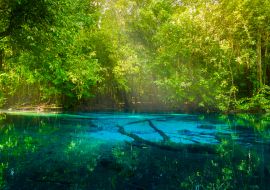 Lais Puzzle - Blauer Teich im Wald. Krabi - 1.000 Teile