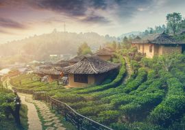 Lais Puzzle - Sonnenaufgang bei Lee Wein Rak Thai, Ban Rak Thai eine chinesische Siedlung, Mae Hong Son, Thailand - 1.000 Teile