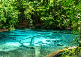 Lais Puzzle - Dschungeltour mit Crystal Pool und Krabi Hot Springs - 1.000 Teile
