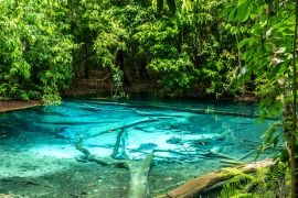 Lais Puzzle - Dschungeltour mit Crystal Pool und Krabi Hot Springs - 2.000 Teile