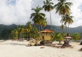Lais Puzzle - Meer und Palmen am Strand von Maracas in Trinidad und Tobago, Karibik - 1.000 Teile