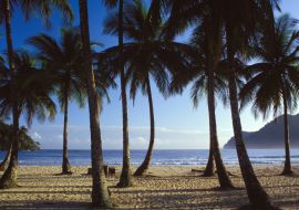 Lais Puzzle - Maracas-Strand, Trinidad - 1.000 Teile