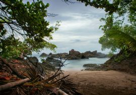 Lais Puzzle - Faszinierender Blick auf einen schönen Sandstrand auf der Karibikinsel Tobago, Trinidad - 1.000 Teile