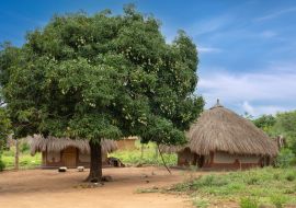 Lais Puzzle - Dorf, Uganda, Ostafrika - 1.000 Teile