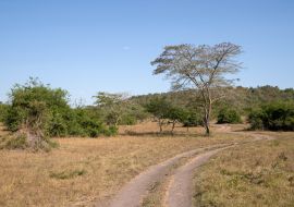 Lais Puzzle - Mburo-See-Nationalpark, Uganda - 1.000 Teile
