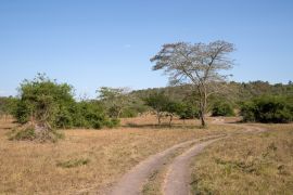 Lais Puzzle - Mburo-See-Nationalpark, Uganda - 2.000 Teile