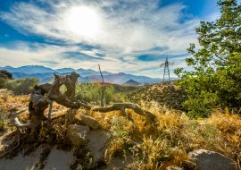 Lais Puzzle - Wanderreiten in Kalifornien bei Ontario - 1.000 Teile