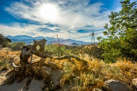 Lais Puzzle - Wanderreiten in Kalifornien bei Ontario - 2.000 Teile