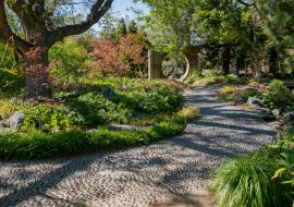 Lais Puzzle - Die wunderschönen Botanischen Gärten von Denver - 1.000 Teile