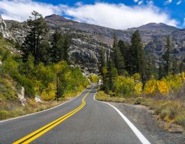 Lais Puzzle - Fahrt durch die Sierra Mountains an einem sonnigen Tag, Kalifornien - 40, 100, 200, 500, 1.000 & 2.000 Teile