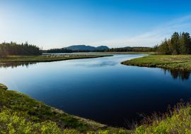 Lais Puzzle - Acadia-Nationalpark, Maine, Vereinigte Staaten von Amerika - 1.000 Teile