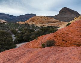 Lais Puzzle - Red Rock Canyon, Clark County, Nevada, USA, Amerika - 40, 100, 200, 500, 1.000 & 2.000 Teile