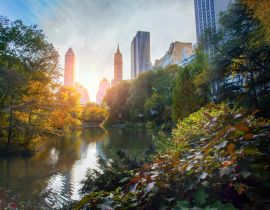 Lais Puzzle - New York City Manhattan, Wolkenkratzer und bunte Bäume mit Spiegelung - 40, 100, 200, 500, 1.000 & 2.000 Teile