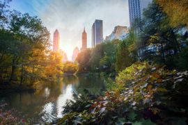 Lais Puzzle - New York City Manhattan, Wolkenkratzer und bunte Bäume mit Spiegelung - 2.000 Teile