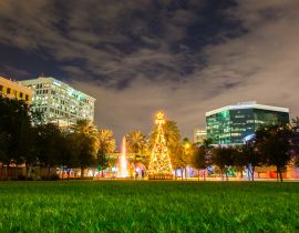 Lais Puzzle - Weihnachtsbaum im Park Fort Lauderdale, Florida, USA - 40, 100, 200, 500, 1.000 & 2.000 Teile