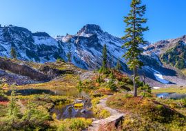 Lais Puzzle - Fragment eines Wanderwegs im Mount Baker Visitor Center, Washington - 1.000 Teile