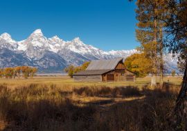 Lais Puzzle - T.A. Moulton Barn im Mormon Row Historic District im Grand Teton National Park, Wyoming - 1.000 Teile