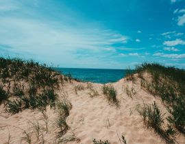 Lais Puzzle - Sanddünen Michigan - 40, 100, 200, 500, 1.000 & 2.000 Teile