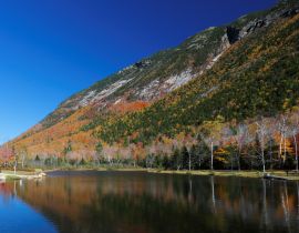 Lais Puzzle - Laub von White Mountain, New Hampshire, USA - 40, 100, 200, 500, 1.000 & 2.000 Teile