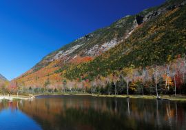 Lais Puzzle - Laub von White Mountain, New Hampshire, USA - 1.000 Teile