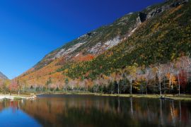 Lais Puzzle - Laub von White Mountain, New Hampshire, USA - 2.000 Teile