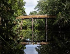 Lais Puzzle - Schöner Blick auf die Brücke im Hillsborough River State Park, Florida, USA - 40, 100, 200, 500, 1.000 & 2.000 Teile