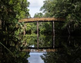 Lais Puzzle - Schöner Blick auf die Brücke im Hillsborough River State Park, Florida, USA - 40, 100, 200, 500, 1.000 & 2.000 Teile