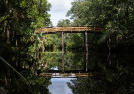 Lais Puzzle - Schöner Blick auf die Brücke im Hillsborough River State Park, Florida, USA - 1.000 Teile