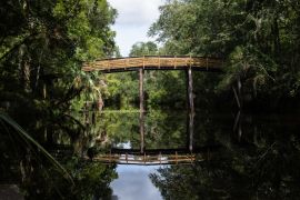 Lais Puzzle - Schöner Blick auf die Brücke im Hillsborough River State Park, Florida, USA - 2.000 Teile
