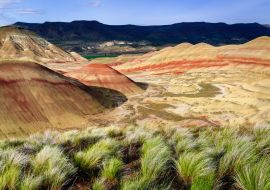Lais Puzzle - John Day Fossil Beds National Monument - 1.000 Teile