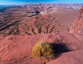 Lais Puzzle - Canyonlands-Nationalpark, Utah - 40, 100, 200, 500, 1.000 & 2.000 Teile