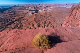 Lais Puzzle - Canyonlands-Nationalpark, Utah - 2.000 Teile